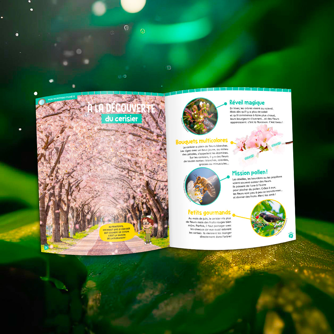 Les grenouilles vertes