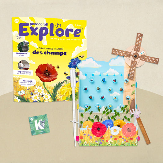 Les fleurs des champs