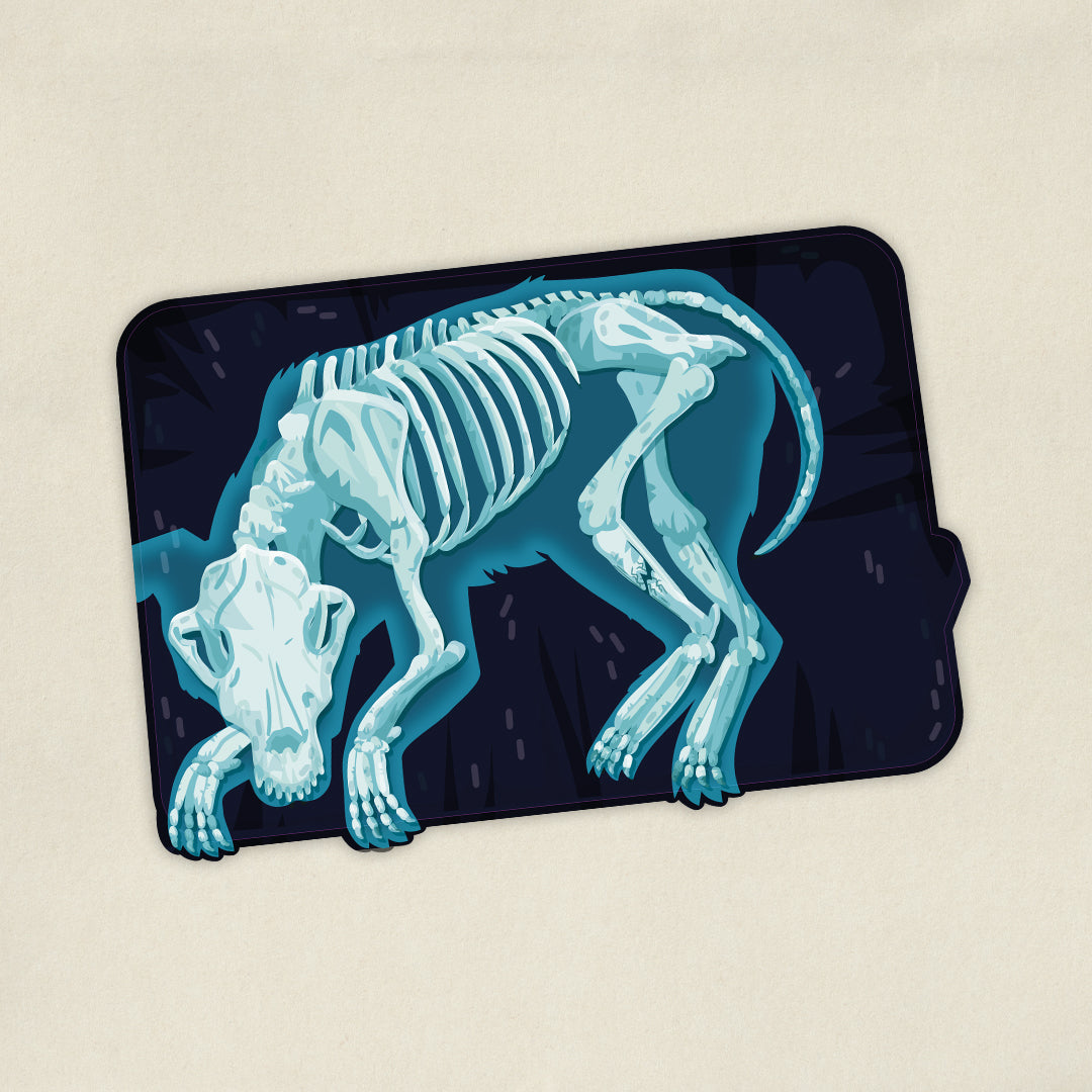 Deviens Vétérinaire