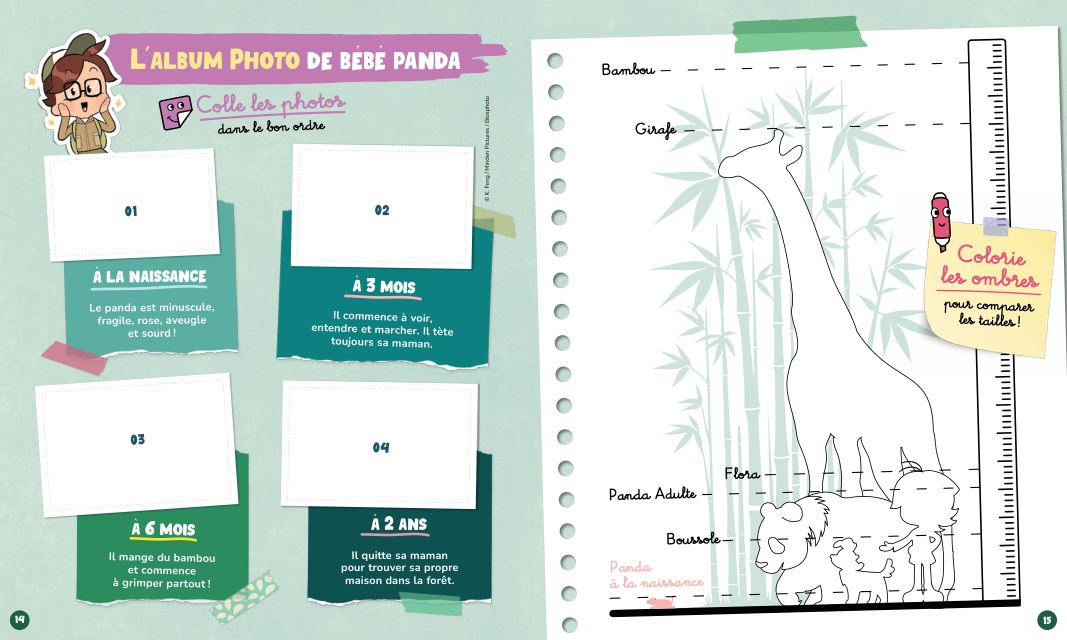 Une double page de jeux : l'album photo du bébé panda à compléter avec des stickers, et les ombres à colorier pour comparer les tailles.
