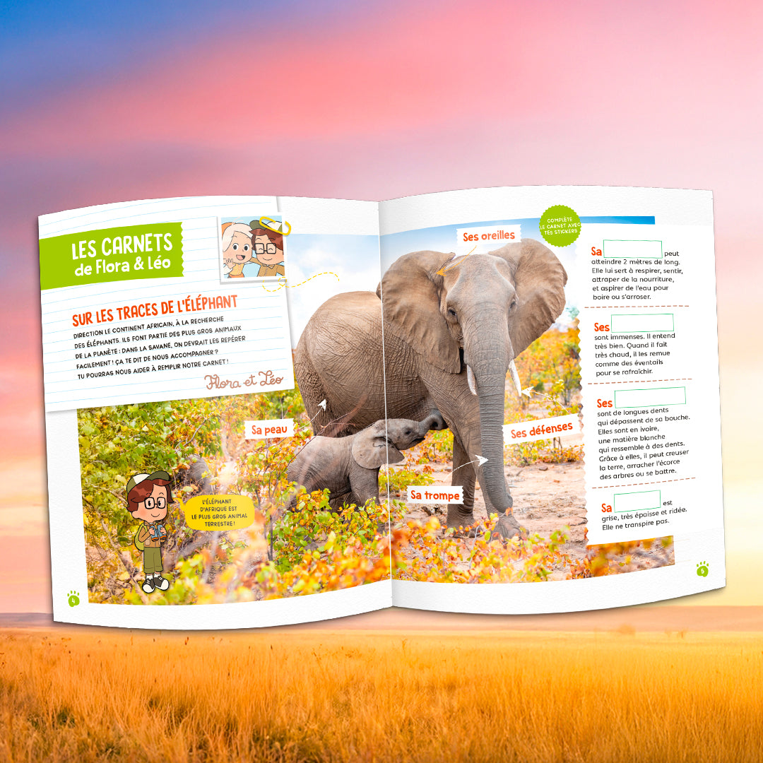 L'éléphant d'Afrique