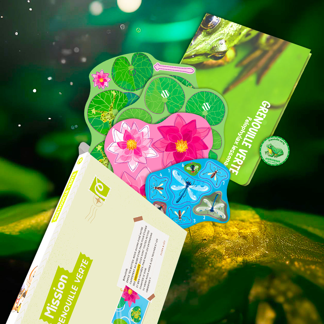 Les grenouilles vertes