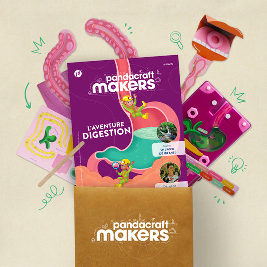 Le système digestif - L'aventure digestion